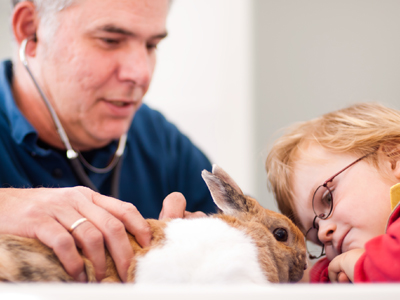 Dr. Zahner mit Kaninchen, allgemeine Tiermedizin