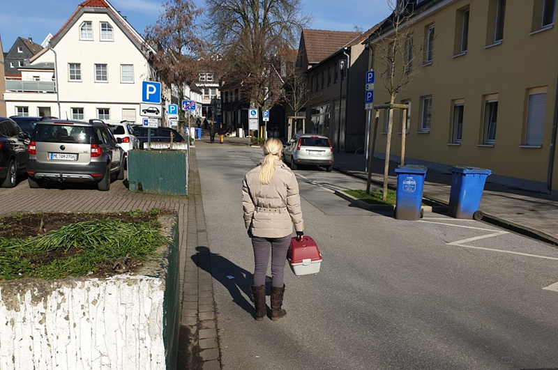 Parkplatz bei der Tierarztpraxis Dr. Zahner