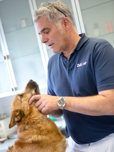 Dr. Martin Zahner mit Hund